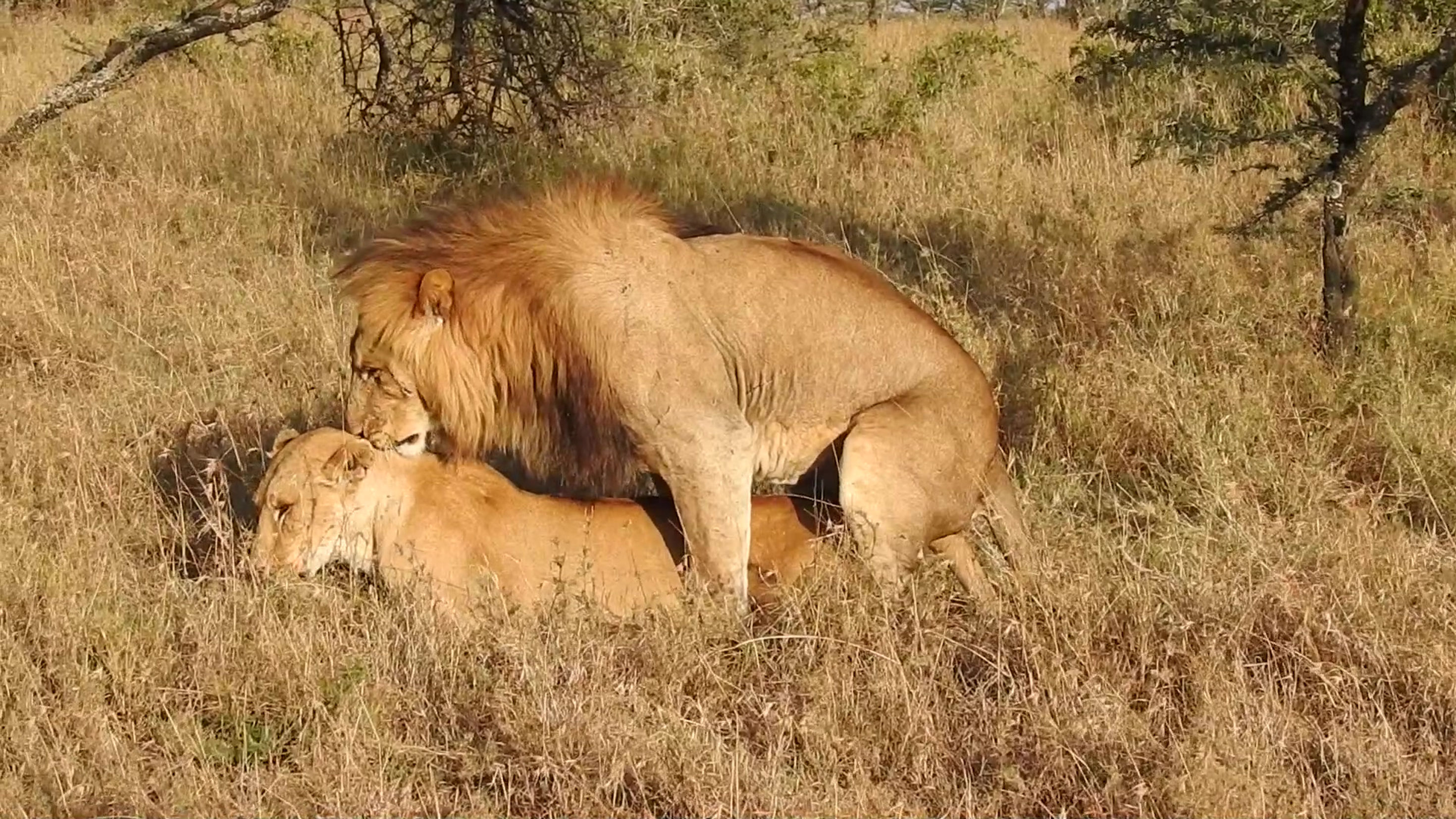 2016 Kenya Video